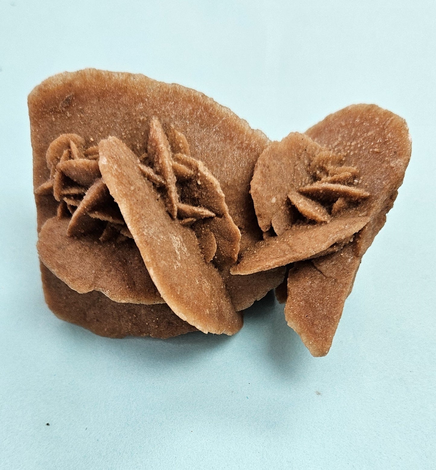 Crystals - Rough Cut - Desert Rose