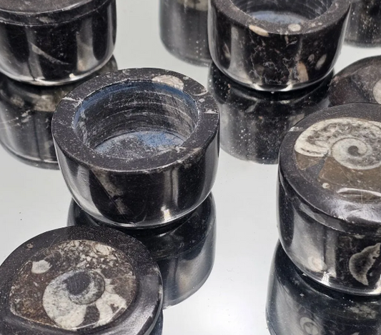 Goniatite Fossil Jewellery Pot