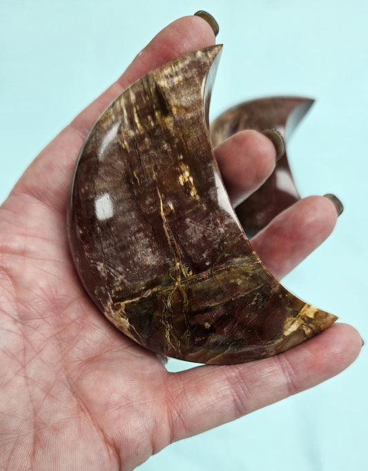 Fossilised Wood - Moon (Petrified Wood)