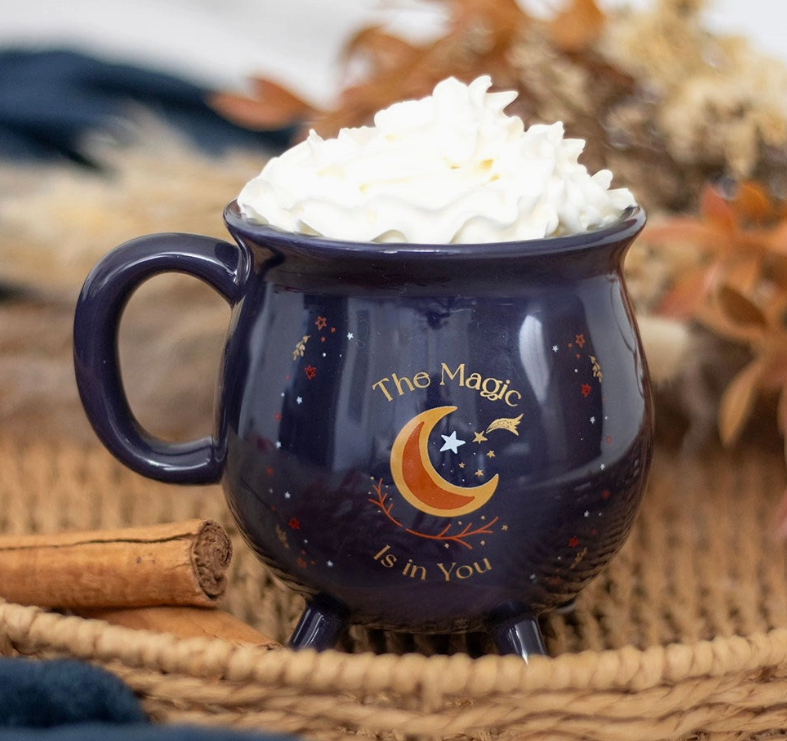 Cauldron Mug (Various)