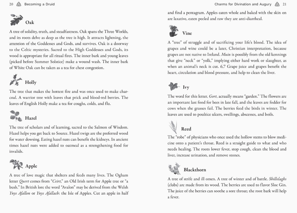 Celtic Druidry