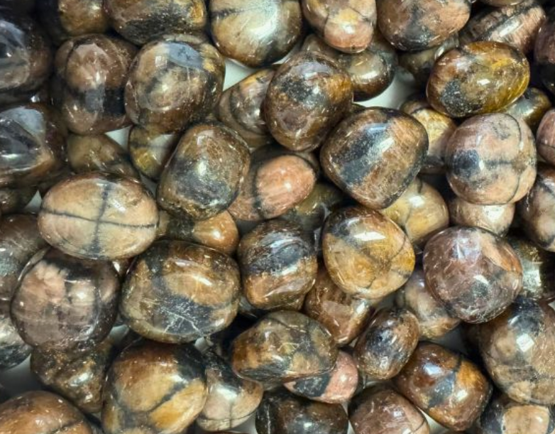 Crystals - Polished Tumble Stones - Chiastolite