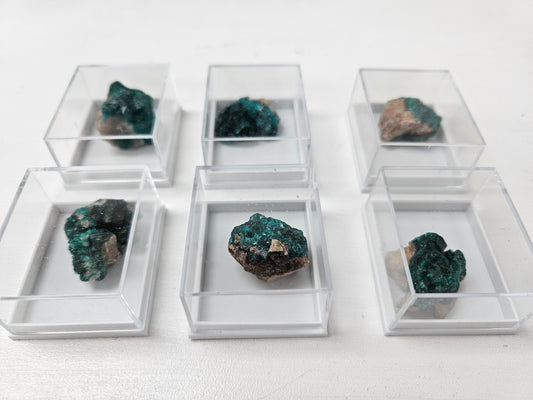 Crystal Speciman Display - Dioptase