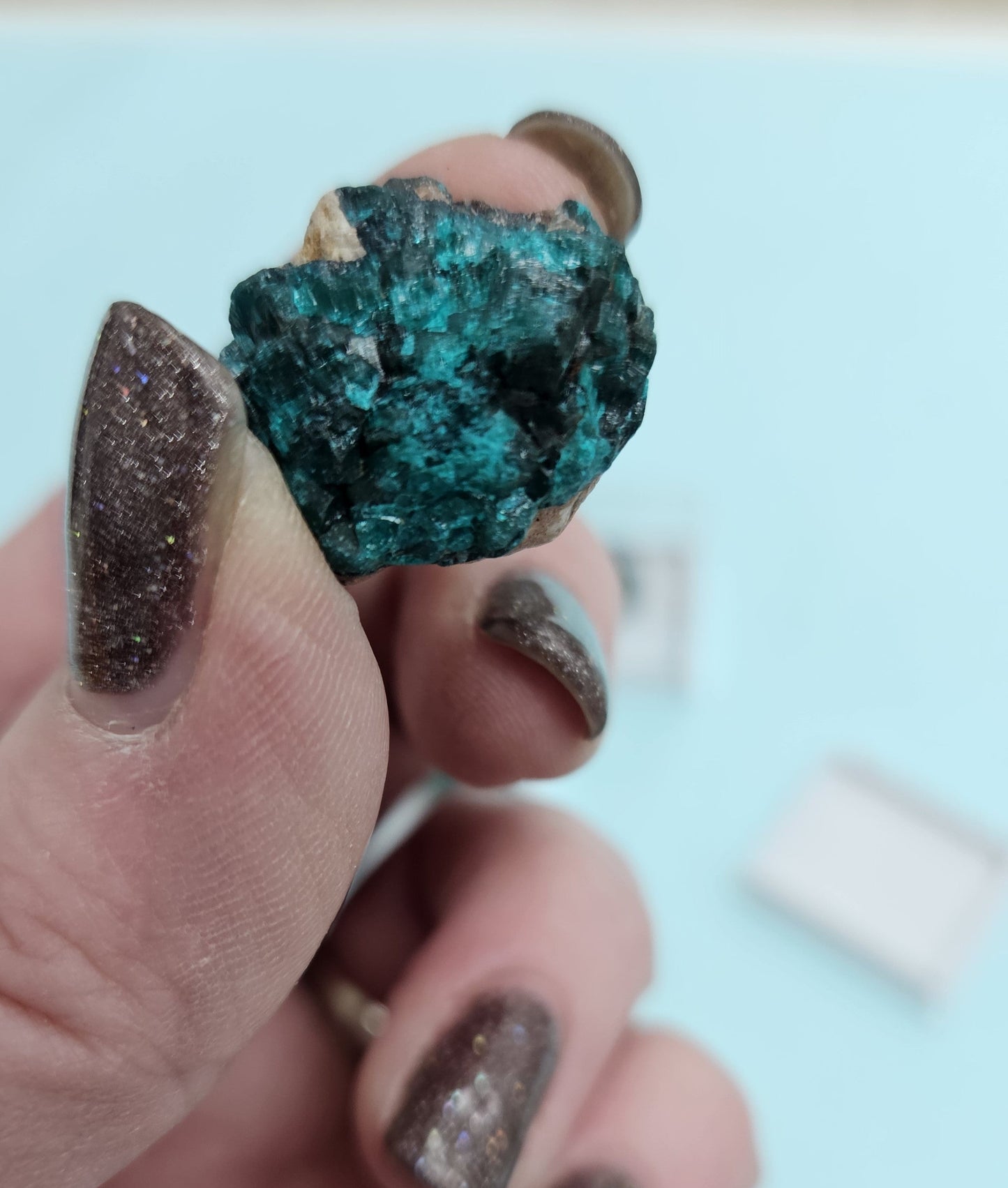 Crystal Speciman Display - Dioptase