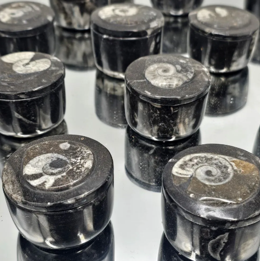 Goniatite Fossil Jewellery Pot