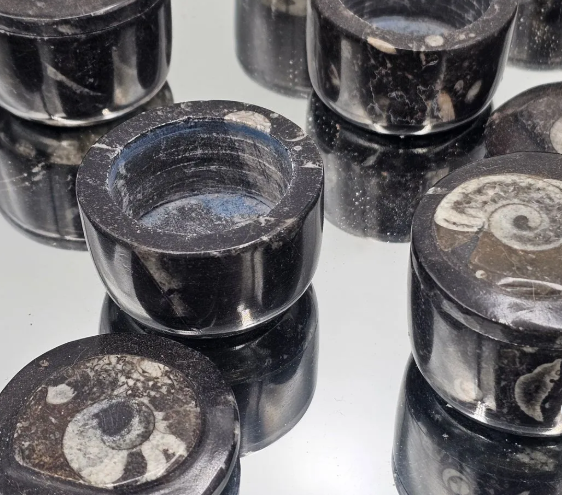 Goniatite Fossil Jewellery Pot