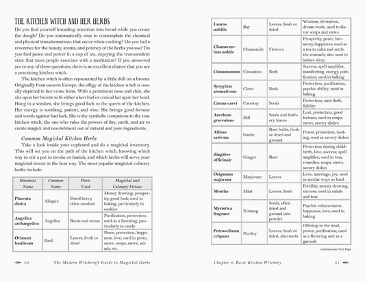 Modern Witchcraft Guide To Magickal Herbs