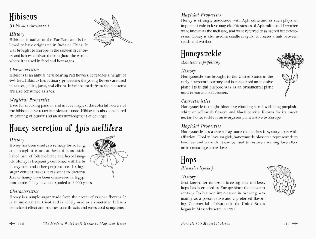 Modern Witchcraft Guide To Magickal Herbs