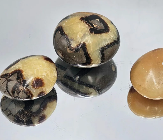 Crystal Palm Stone - Septarian