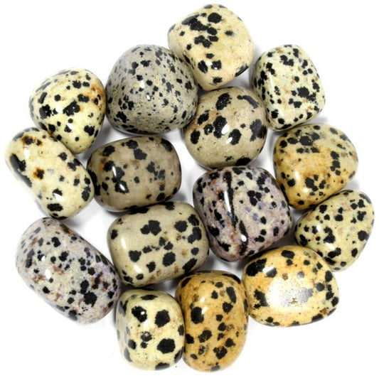 Crystals - Polished Tumble Stones - Dalmation Jasper