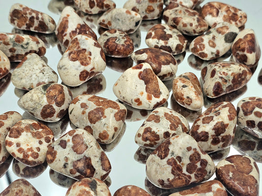 Crystals - Polished Tumble Stones - Wollastonite Garnet