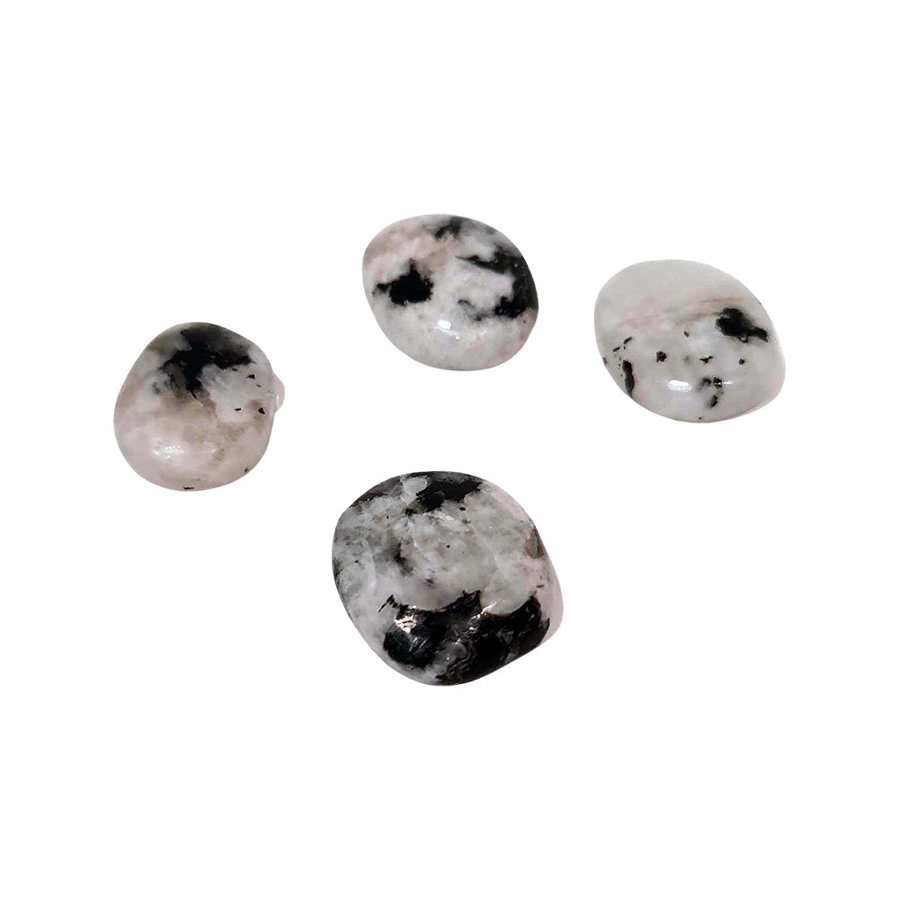 Crystal Worry Stone - Rainbow Moonstone