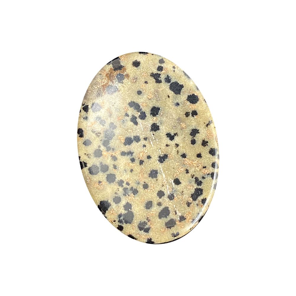 Crystal Worry Stone - Dalmation Jasper