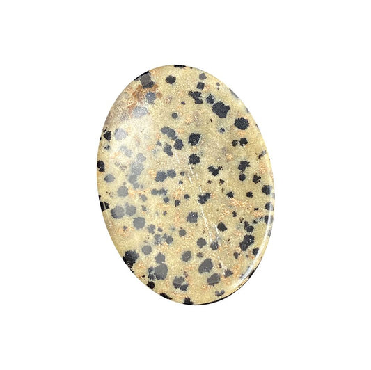 Crystal Worry Stone - Dalmation Jasper